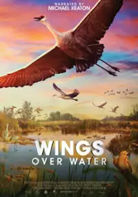 Plakat filmu Wings Over Water