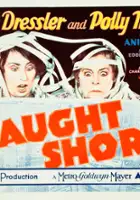 plakat filmu Caught Short