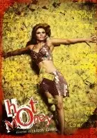 plakat filmu Hot Money