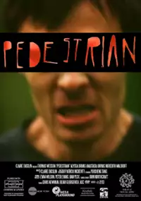 Plakat filmu Pedestrian