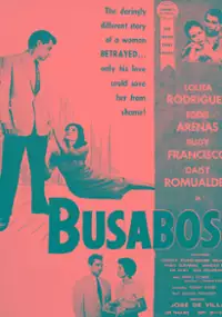 Plakat filmu Busabos