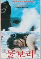 plakat filmu Mulbora