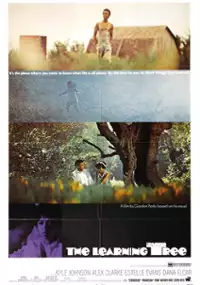 Plakat filmu Drzewo wiadomości