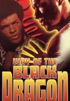plakat filmu Way of the Black Dragon