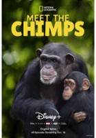 plakat filmu W świecie szympansów