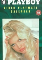 plakat filmu Dziewczyny z kalendarza 1998