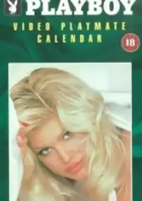 Plakat filmu Dziewczyny z kalendarza 1998