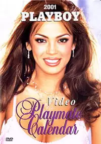 Plakat filmu Dziewczyny z kalendarza 2001