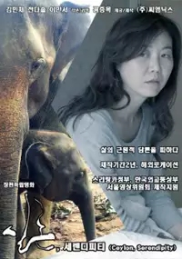 Plakat filmu Sil-lon, Se-len-di-pi-ti