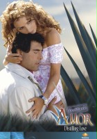 plakat filmu Miłość jak tequila
