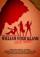 plakat filmu The Adventures of William Strickland: Chick Magnet