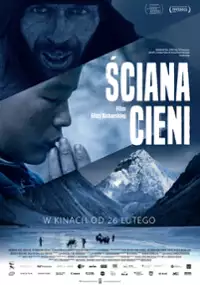 Plakat filmu Ściana cieni