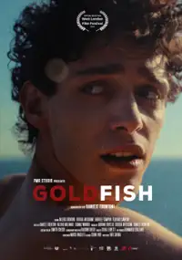 Plakat filmu Pesce rosso