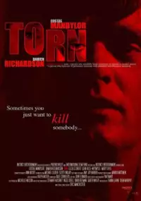 Plakat filmu Torn