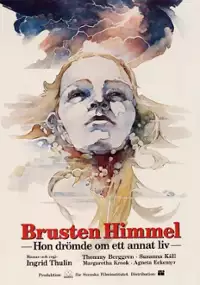 Plakat filmu Pęknięte niebo