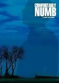 Plakat filmu Comfortably Numb