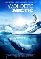 plakat filmu Wonders of the Arctic