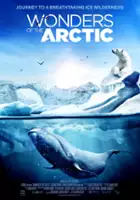 David Lickley / Wonders of the Arctic