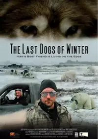 Plakat filmu The Last Dogs of Winter
