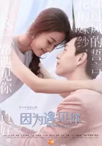 Plakat serialu Yin Wei Yu Jian Ni