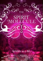 plakat filmu DMT: The Spirit Molecule
