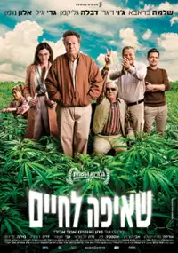 Plakat filmu Sheifa LeHaim