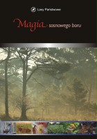 plakat filmu Magia sosnowego boru