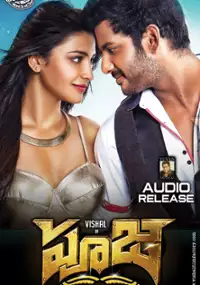 Plakat filmu Poojai