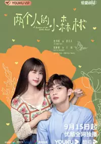 Plakat serialu Liang Ge Ren De Xiao Sen Lin
