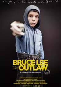 Plakat filmu Bruce Lee i Hajduk