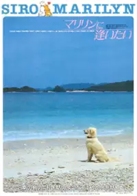 Plakat filmu Marilyn ni aitai