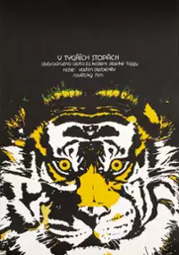 Plakat filmu Po sledu vlastelina