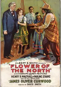 Plakat filmu The Flower of the North