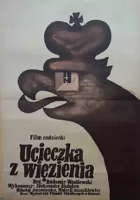 Plakat filmu Ucieczka z więzienia
