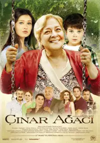 Plakat filmu Çinar agaci