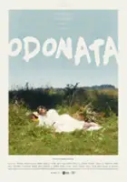 plakat filmu Ćmy i ważki