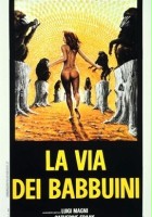 plakat filmu La Via dei babbuini
