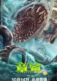Plakat filmu Zhang sha
