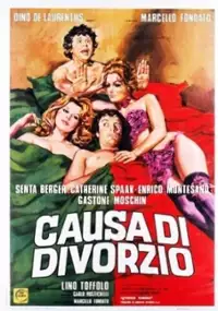 Plakat filmu Sprawa rozwodowa