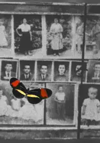 Plakat filmu Retratos e Borboletas