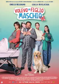 Plakat filmu Volevo un figlio maschio