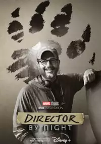 Plakat filmu Reżyser nocą