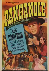 Plakat filmu Panhandle