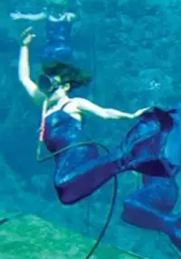 Plakat filmu City of Mermaids