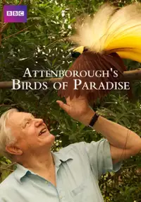 Plakat filmu Rajskie ptaki Davida Attenborough