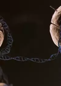 Plakat filmu Ukryte życie naszych genów