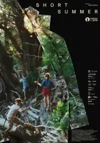 Plakat filmu Short Summer
