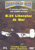 plakat filmu Aviation At War: B-24 Liberator At War
