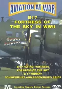 Plakat filmu Aviation At War - B17 Fortress Of The Sky In World War II