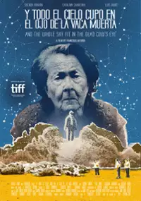 Plakat filmu Całe niebo w oku martwej krowy